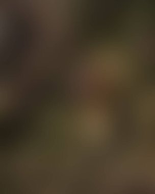 Soyut bulanık arkaplan renkleri karışık 