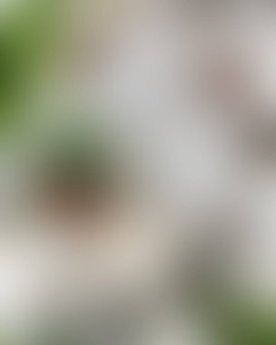 Soyut bulanık arkaplan renkleri karışık 