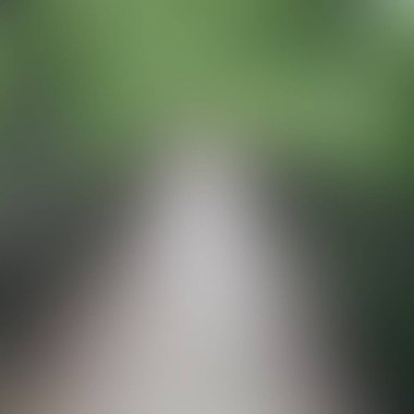 Soyut bulanık arkaplan renkleri karışık 