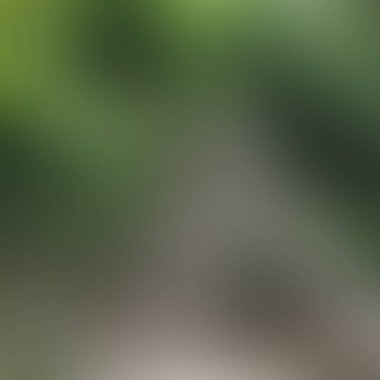 Soyut bulanık arkaplan renkleri karışık 