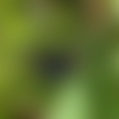 Soyut bulanık arkaplan renkleri karışık 