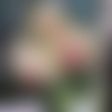 Soyut bulanık arkaplan renkleri karışık 