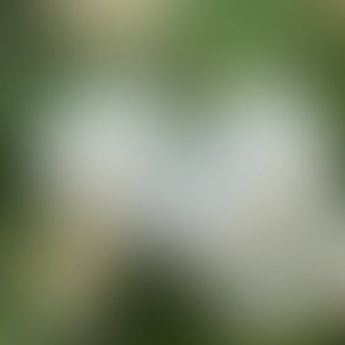 Soyut bulanık arkaplan renkleri karışık 