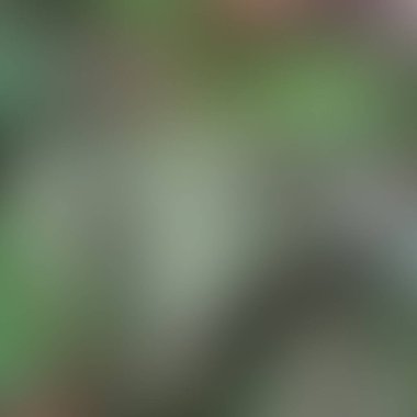 Soyut bulanık arkaplan renkleri karışık 