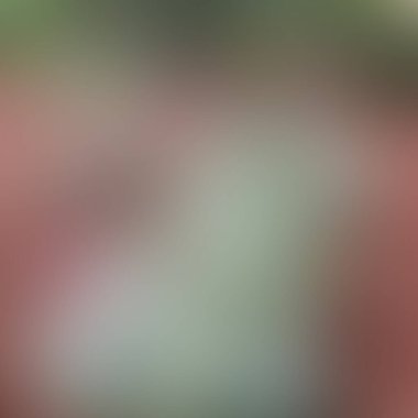 Soyut bulanık arkaplan renkleri karışık 