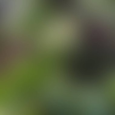 Soyut bulanık arkaplan renkleri karışık 