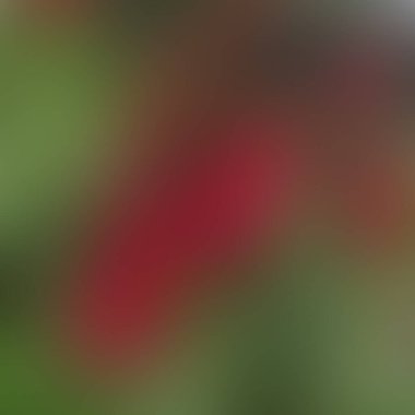 Soyut bulanık arkaplan renkleri karışık 