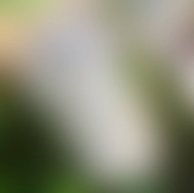 Soyut bulanık arkaplan renkleri karışık 