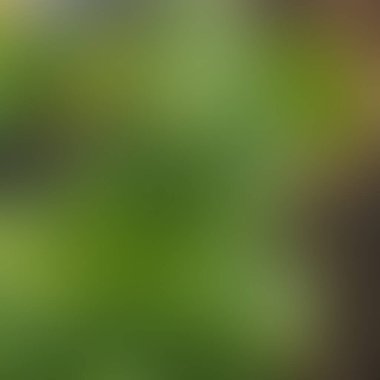 Soyut bulanık arkaplan renkleri karışık 