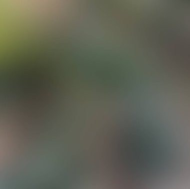 Soyut bulanık arkaplan renkleri karışık 