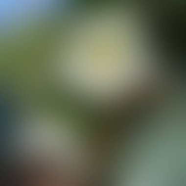 Soyut bulanık arkaplan renkleri karışık 