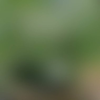 Soyut bulanık arkaplan renkleri karışık 