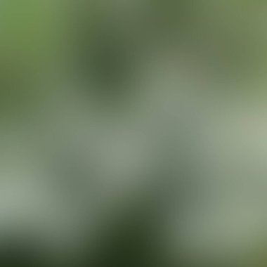 Soyut bulanık arkaplan renkleri karışık 