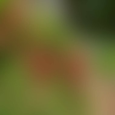 Soyut bulanık arkaplan renkleri karışık 