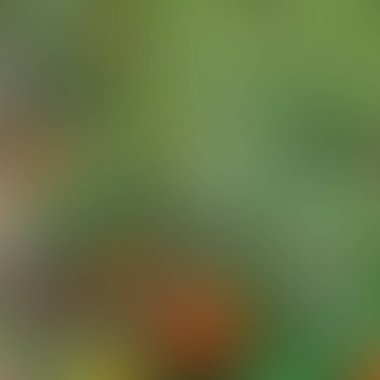 Soyut bulanık arkaplan renkleri karışık 