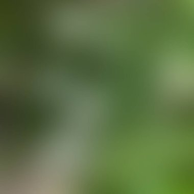 Soyut bulanık arkaplan renkleri karışık 