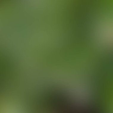 Soyut bulanık arkaplan renkleri karışık 