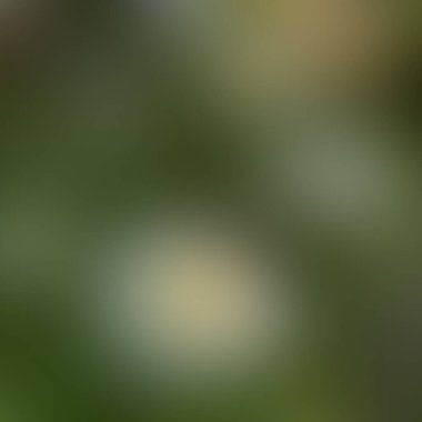 Soyut bulanık arkaplan renkleri karışık 