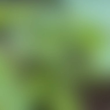 Soyut bulanık arkaplan renkleri karışık 