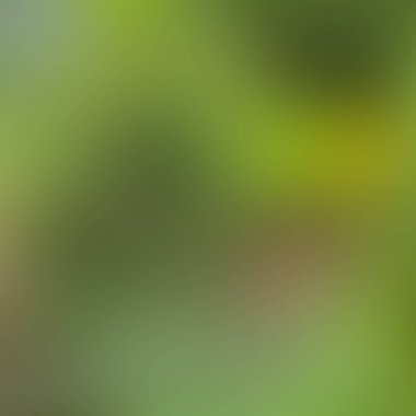 Soyut bulanık arkaplan renkleri karışık 