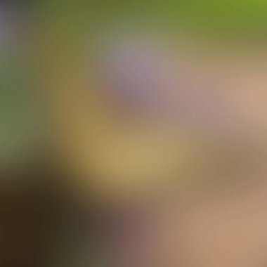 Soyut bulanık arkaplan renkleri karışık 