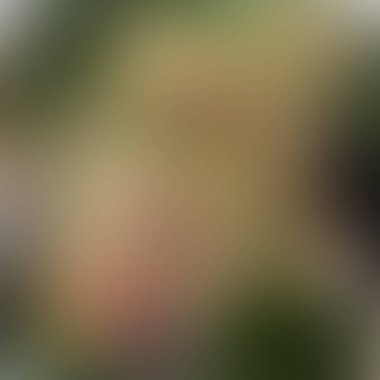 Soyut bulanık arkaplan renkleri karışık 