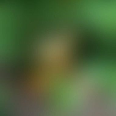 Soyut bulanık arkaplan renkleri karışık 