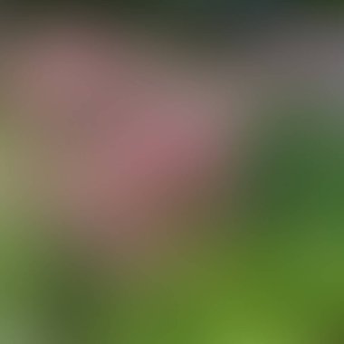 Soyut bulanık arkaplan renkleri karışık  