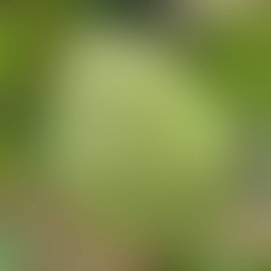 Soyut bulanık arkaplan renkleri karışık  