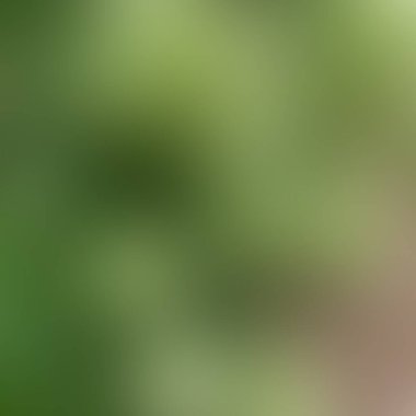 Soyut bulanık arkaplan renkleri karışık  