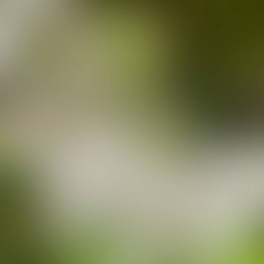 Soyut bulanık arkaplan renkleri karışık  