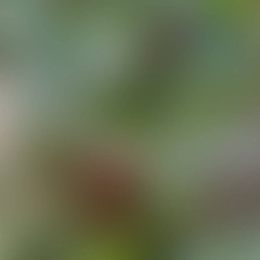 Soyut bulanık arkaplan renkleri karışık  