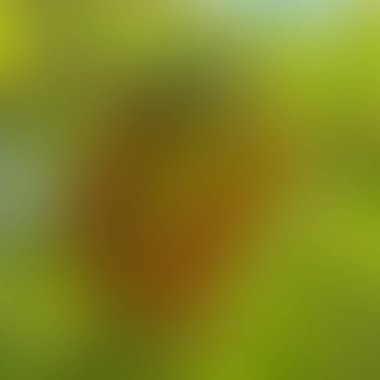 Soyut bulanık arkaplan renkleri karışık  