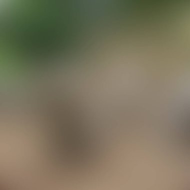 Soyut bulanık arkaplan renkleri karışık  