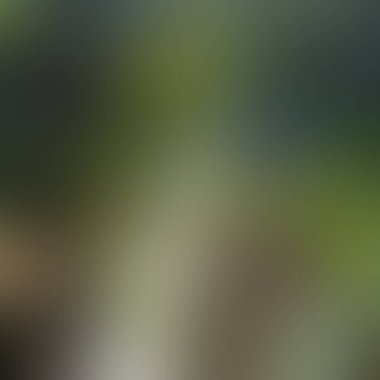 Soyut bulanık arkaplan renkleri karışık  