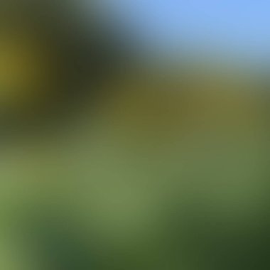 Soyut bulanık arkaplan renkleri karışık  