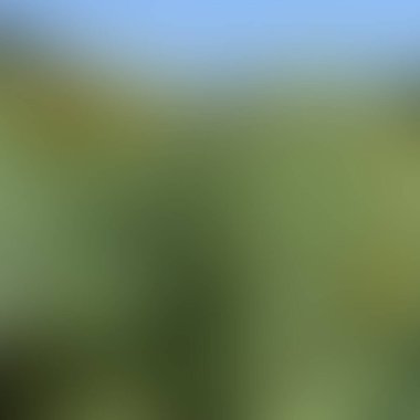 Soyut bulanık arkaplan renkleri karışık  