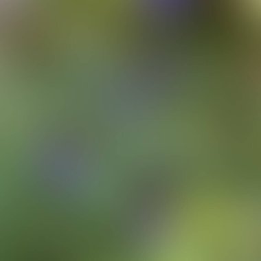 Soyut bulanık arkaplan renkleri karışık  