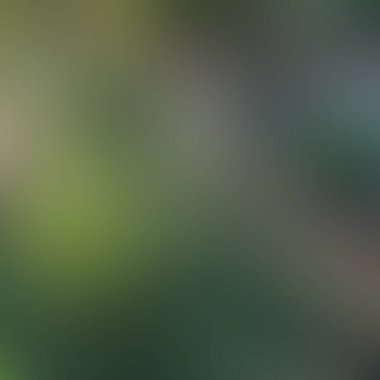 Soyut bulanık arkaplan renkleri karışık  