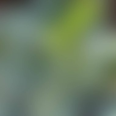 Soyut bulanık arkaplan renkleri karışık  