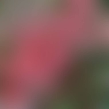 Soyut bulanık arkaplan renkleri karışık  