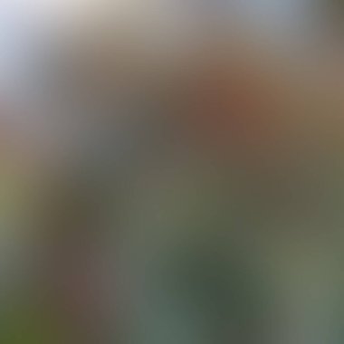 Soyut bulanık arkaplan renkleri karışık 