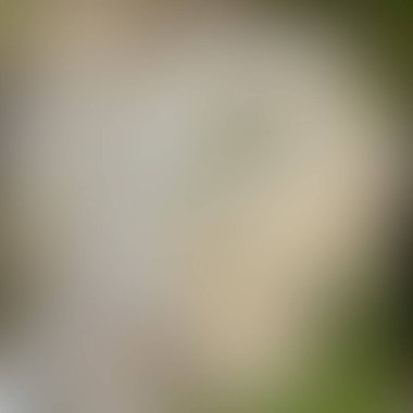 Soyut bulanık arkaplan renkleri karışık 