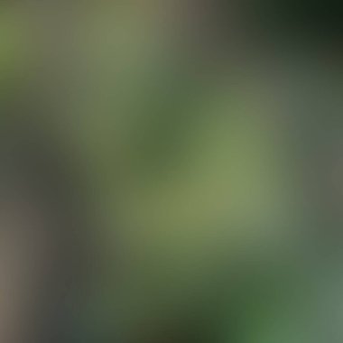 Soyut bulanık arkaplan renkleri karışık 