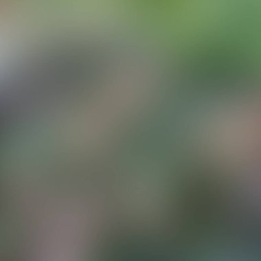 Soyut bulanık arkaplan renkleri karışık 