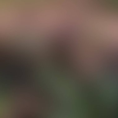 Soyut bulanık arkaplan renkleri karışık 