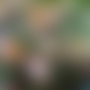 Soyut bulanık arkaplan renkleri karışık 