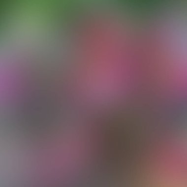 Soyut bulanık arkaplan renkleri karışık 