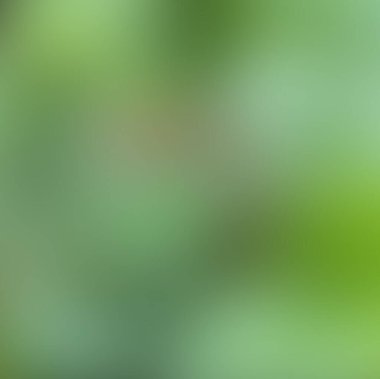 Soyut bulanık arkaplan renkleri karışık 