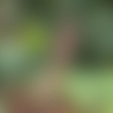 Soyut bulanık arkaplan renkleri karışık 